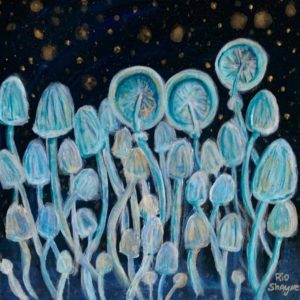 Illuminated Mushrooms © Rio Shayne